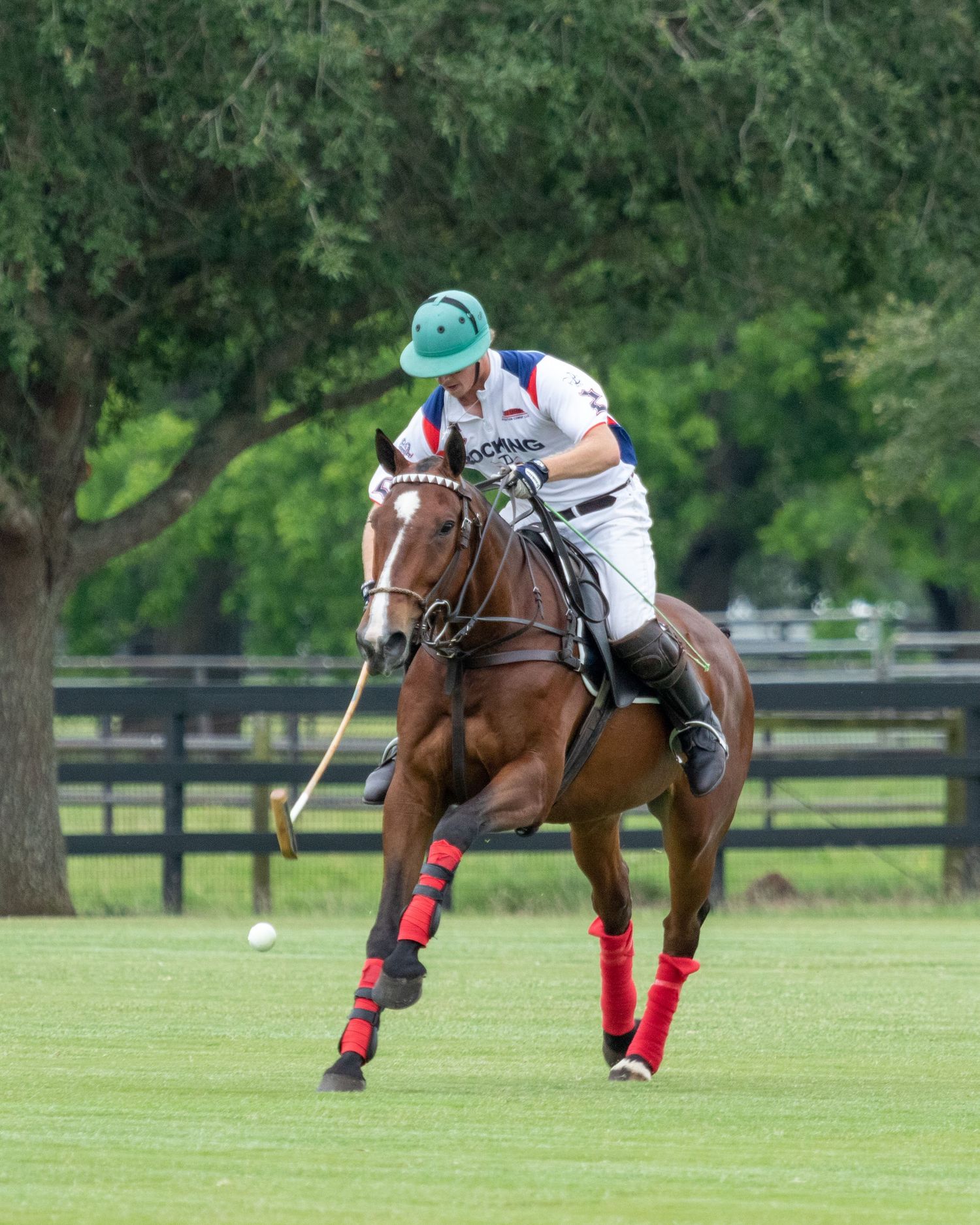 Polo Grayson Price