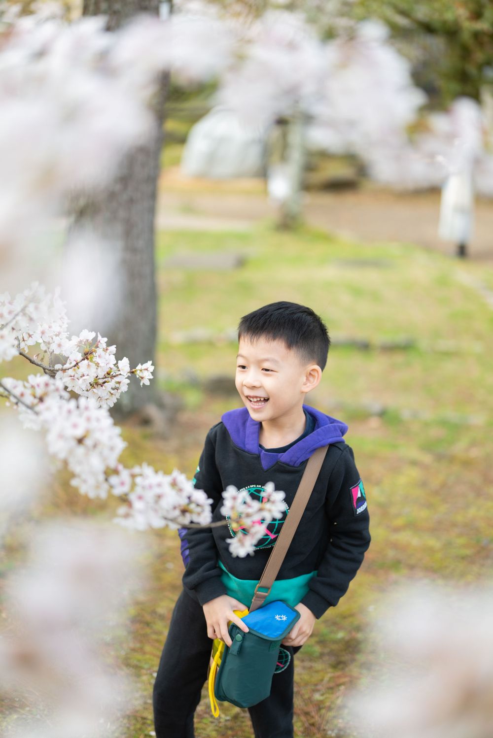 Happy young Asian boy laughs while standing among blooming white cherry blossom branches in a park.