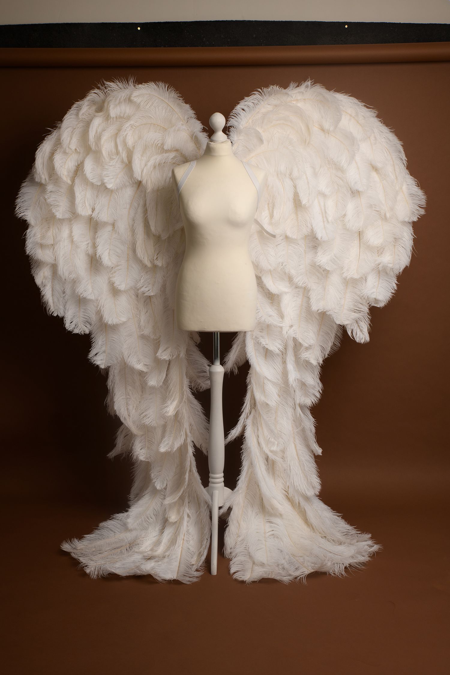 custom made real feather angel wings