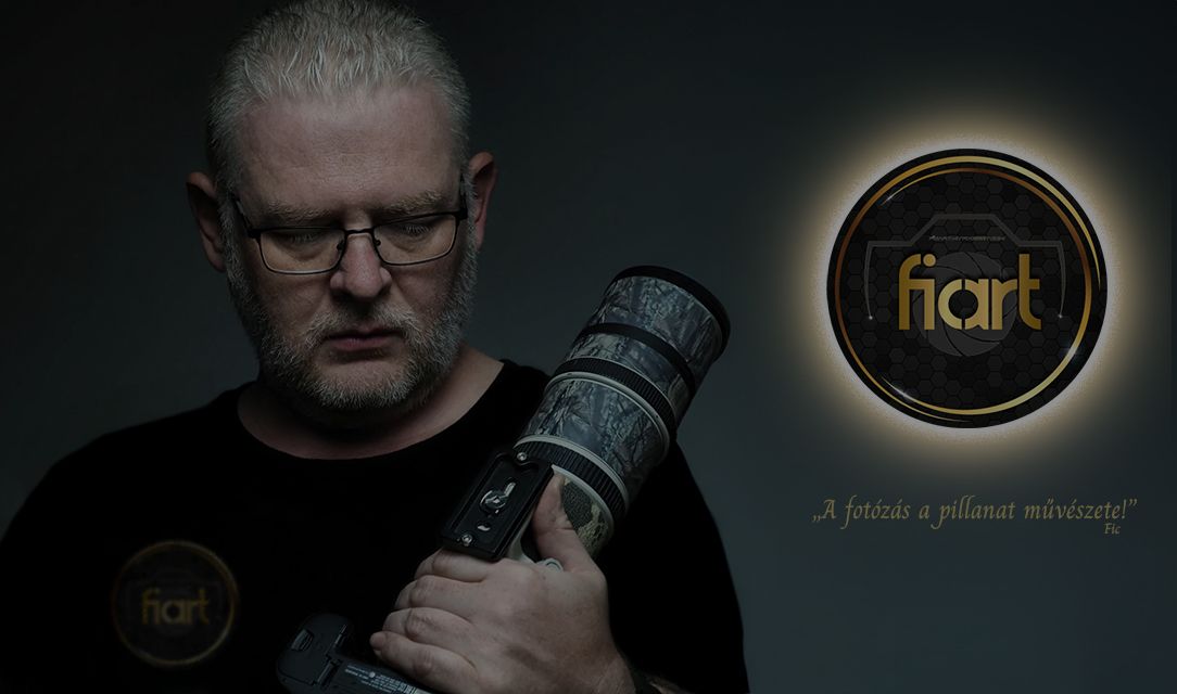 ficart fotozas portrefotozas glamour boudoir