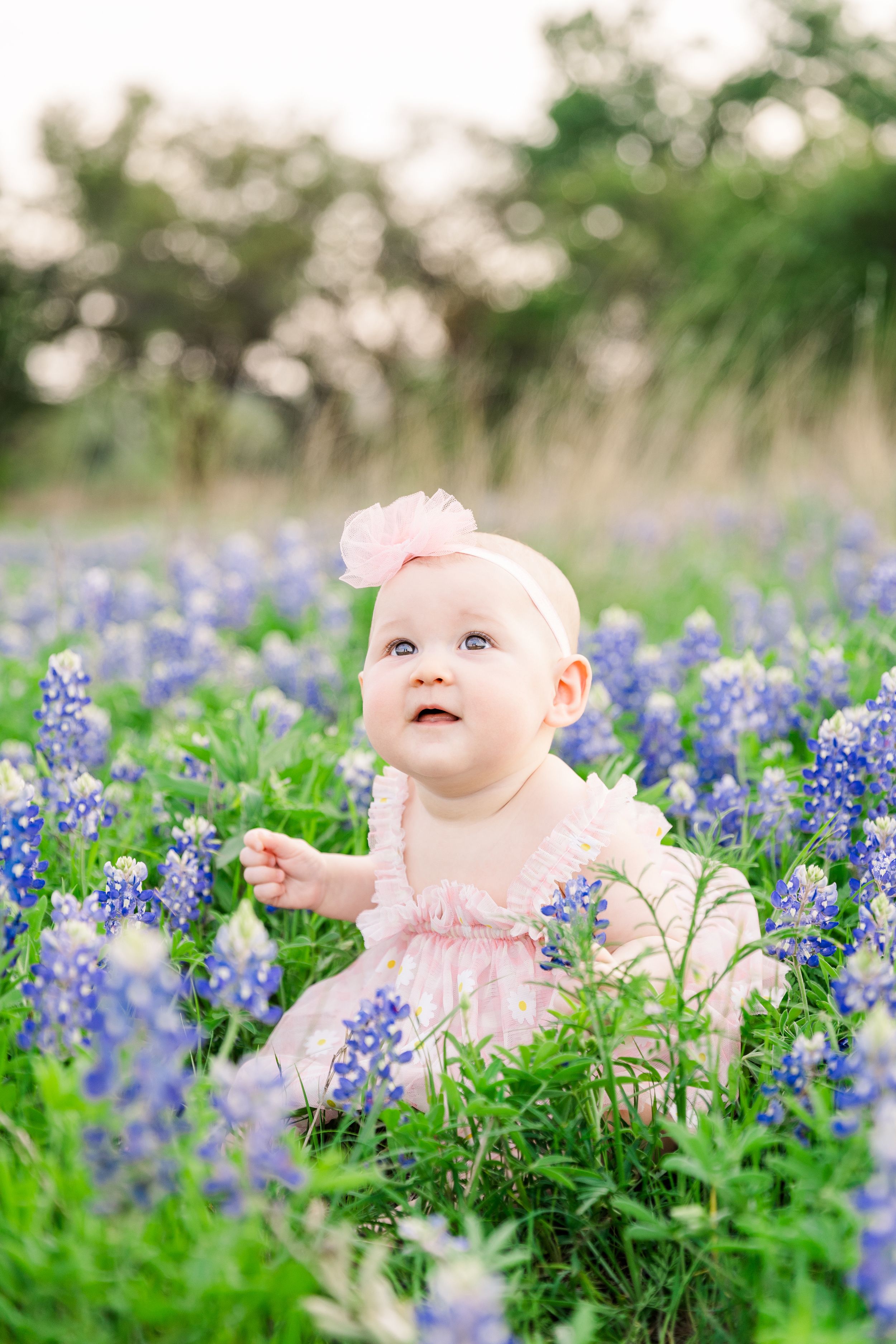 baby girl in pink dress sitting in field of bluebonnet flowers