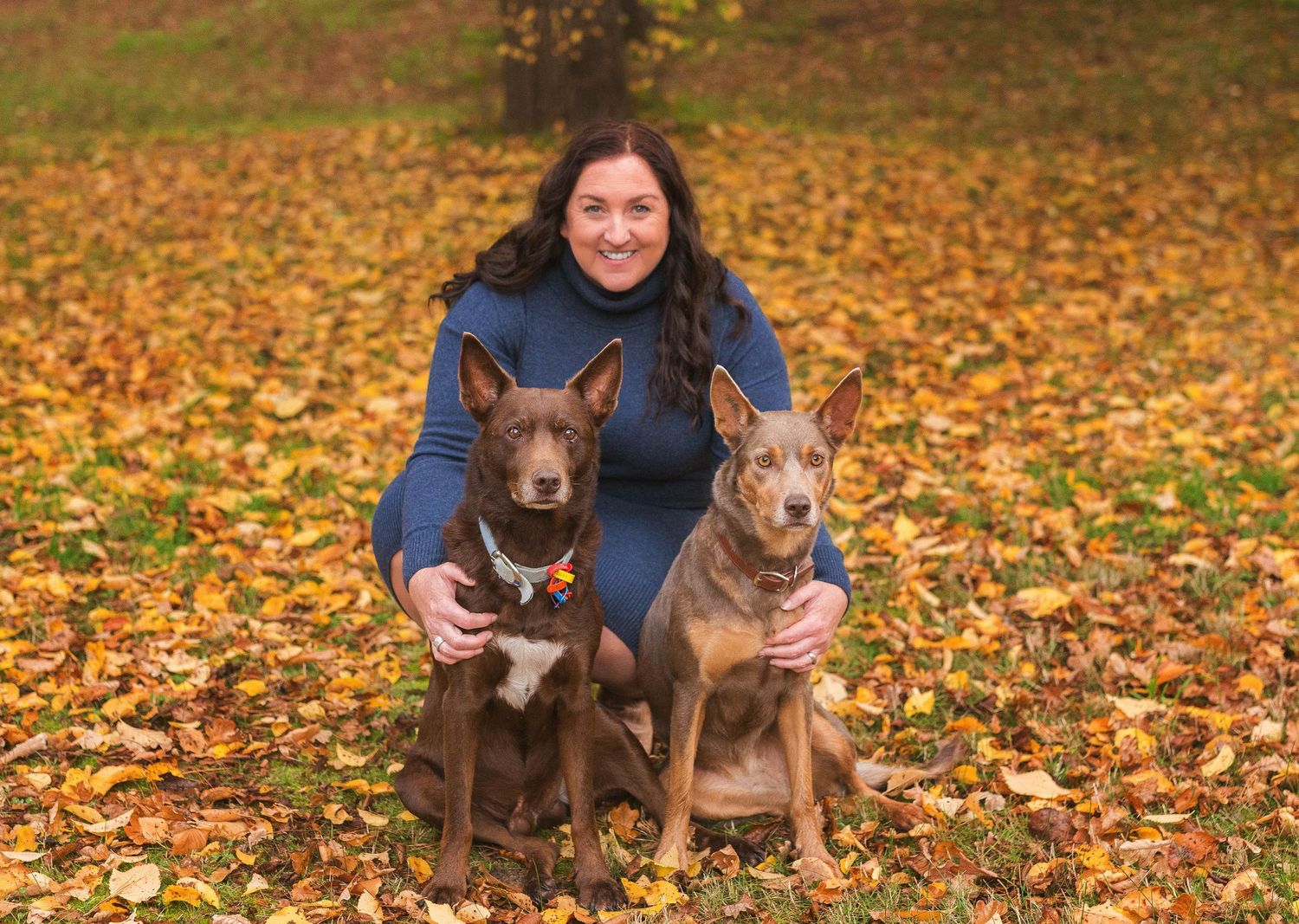 Two brown dogs sitting with their owner among fallen autumn leaves.