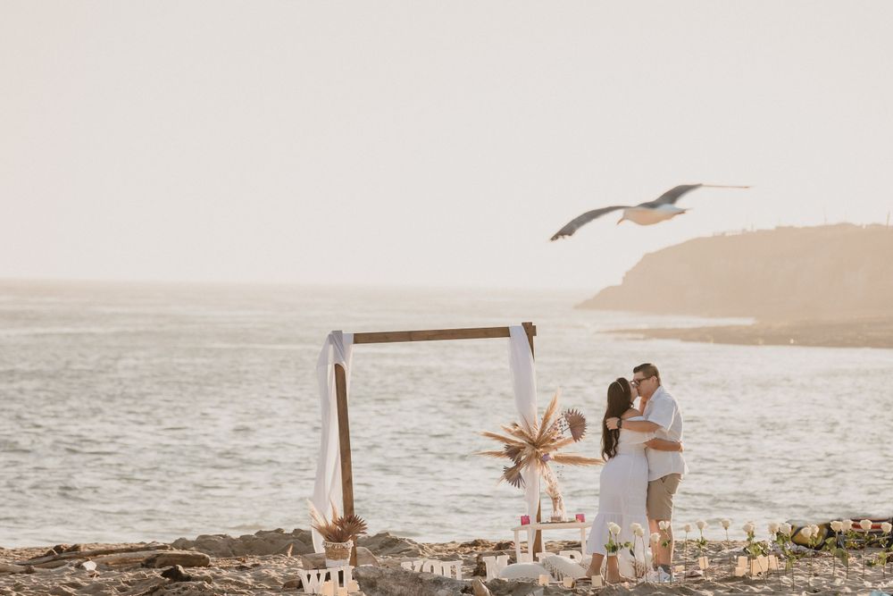 A seaside proposal scene with a wooden arch and seagull flying overhead at golden hour.