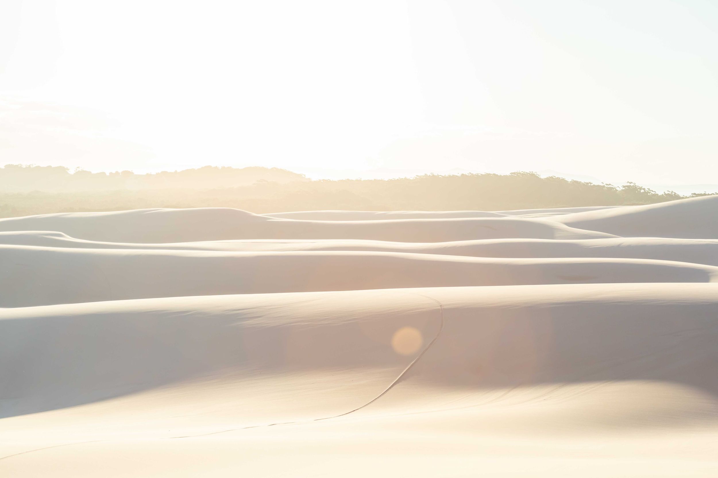 Sand dunes stretching to the horizon with soft sunlight creating rippling shadows across the desert landscape.
