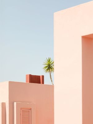 Minimalist pink architecture with a palm tree against blue sky creates a tropical modernist aesthetic.