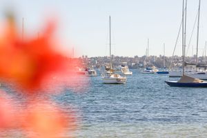 Sailboats anchored in a harbor with orange flower in foreground creating bokeh effect.