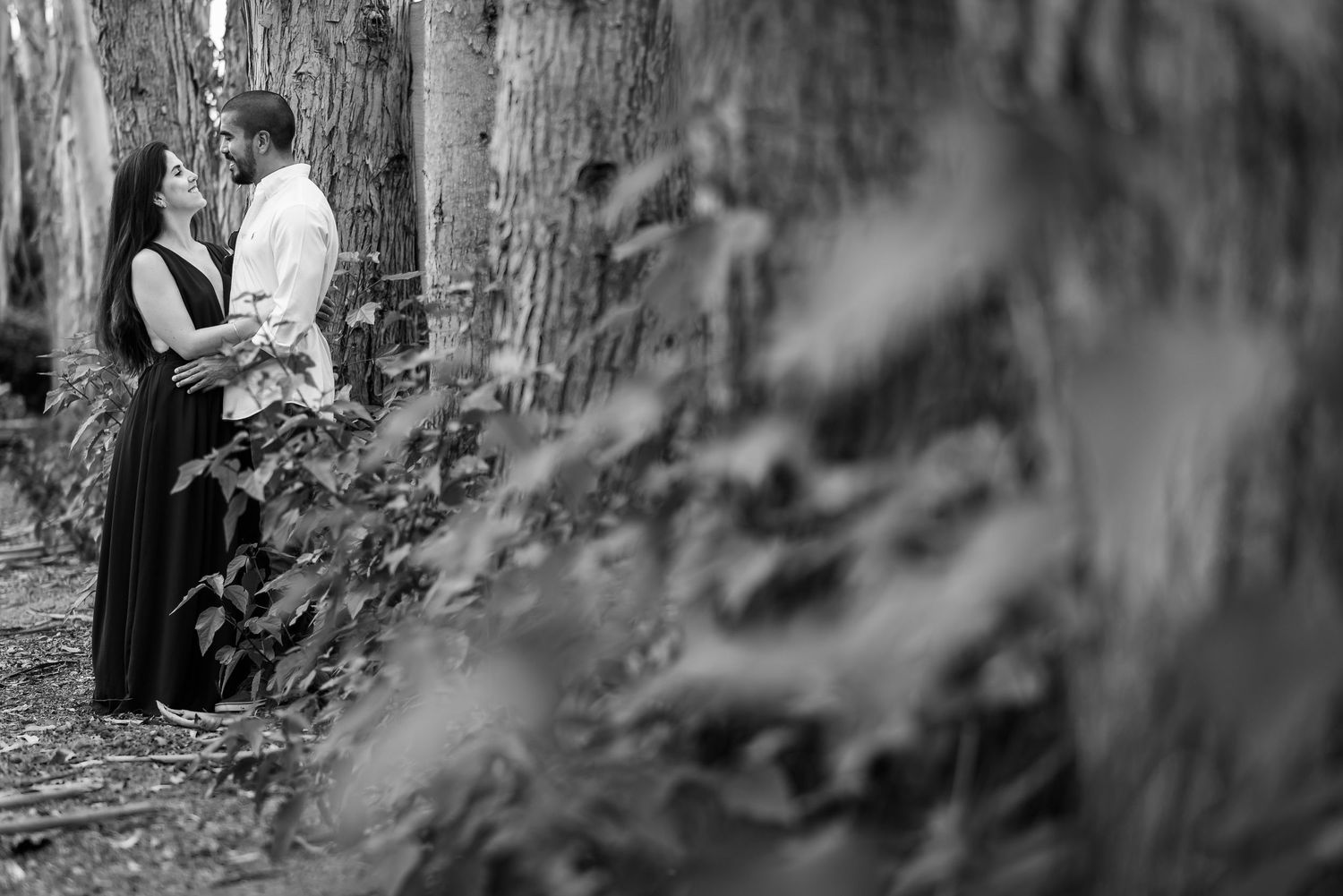 Sesion Fotografica Preboda - Hacienda San Andres, Fotografia y Video de Bodas