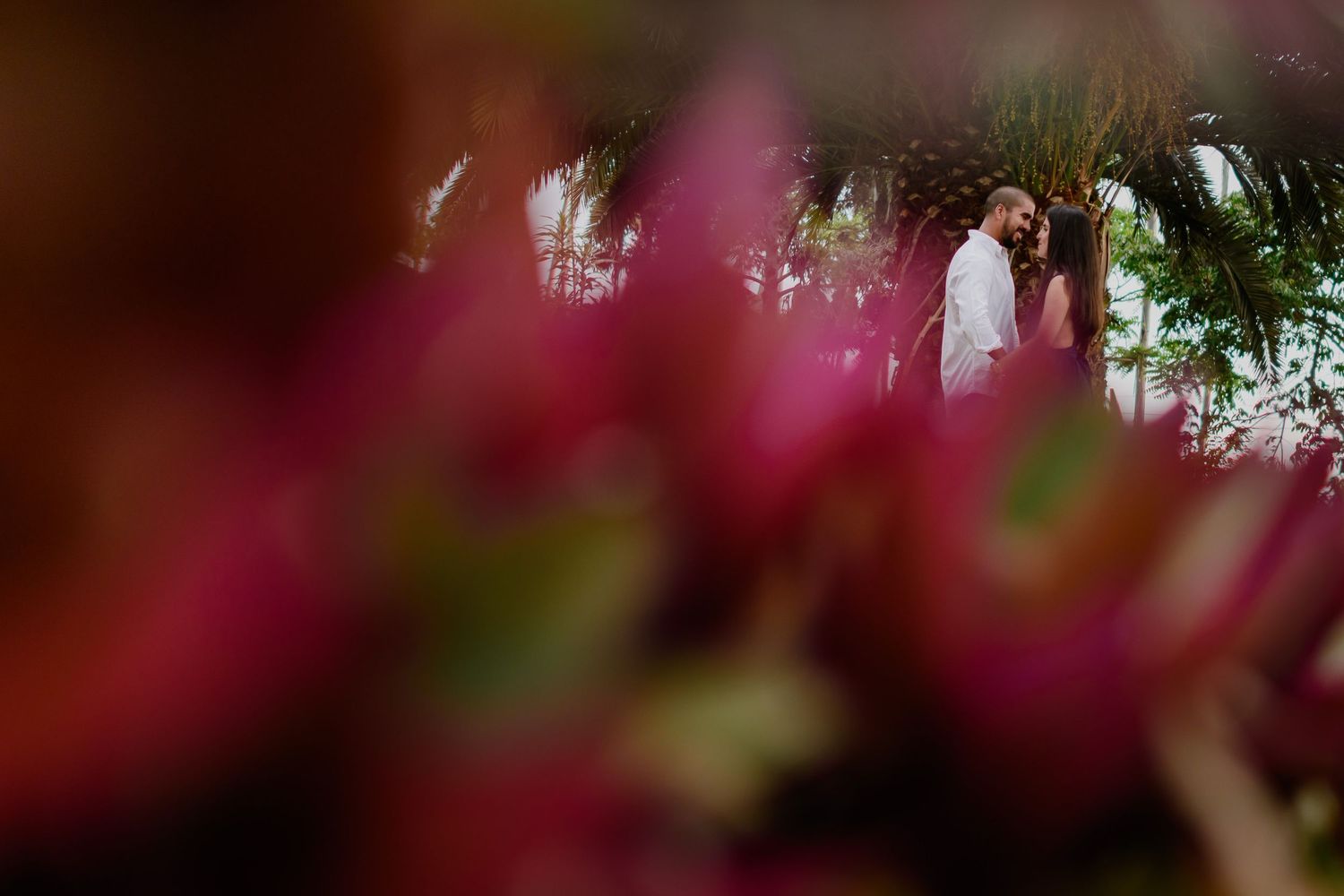 Sesion Fotografica Preboda - Hacienda San Andres, Fotografia y Video de Bodas