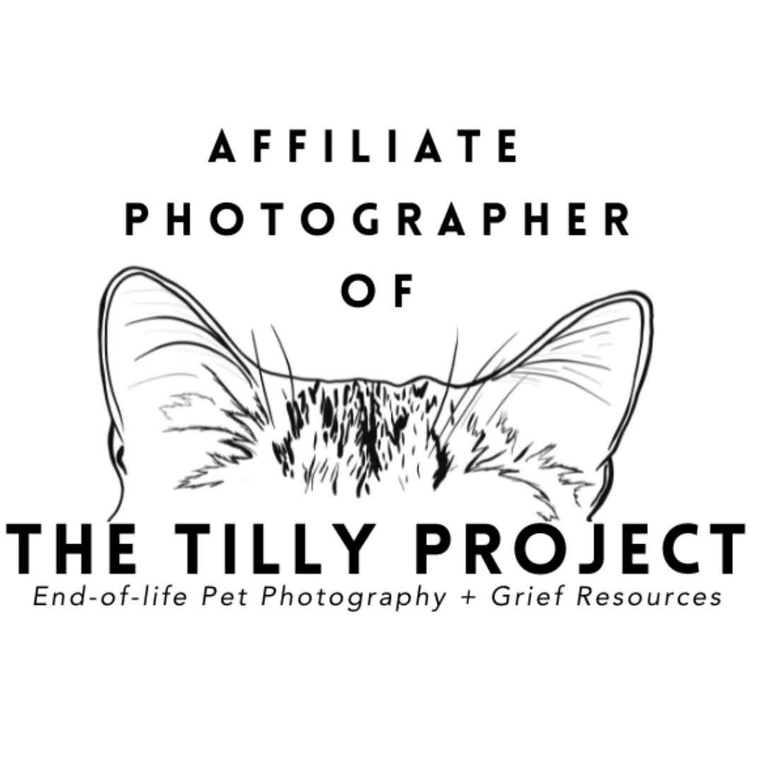 Affiliate photographer of The Tilly Project, offering end-of-life pet photography and grief resources with compassion and care.