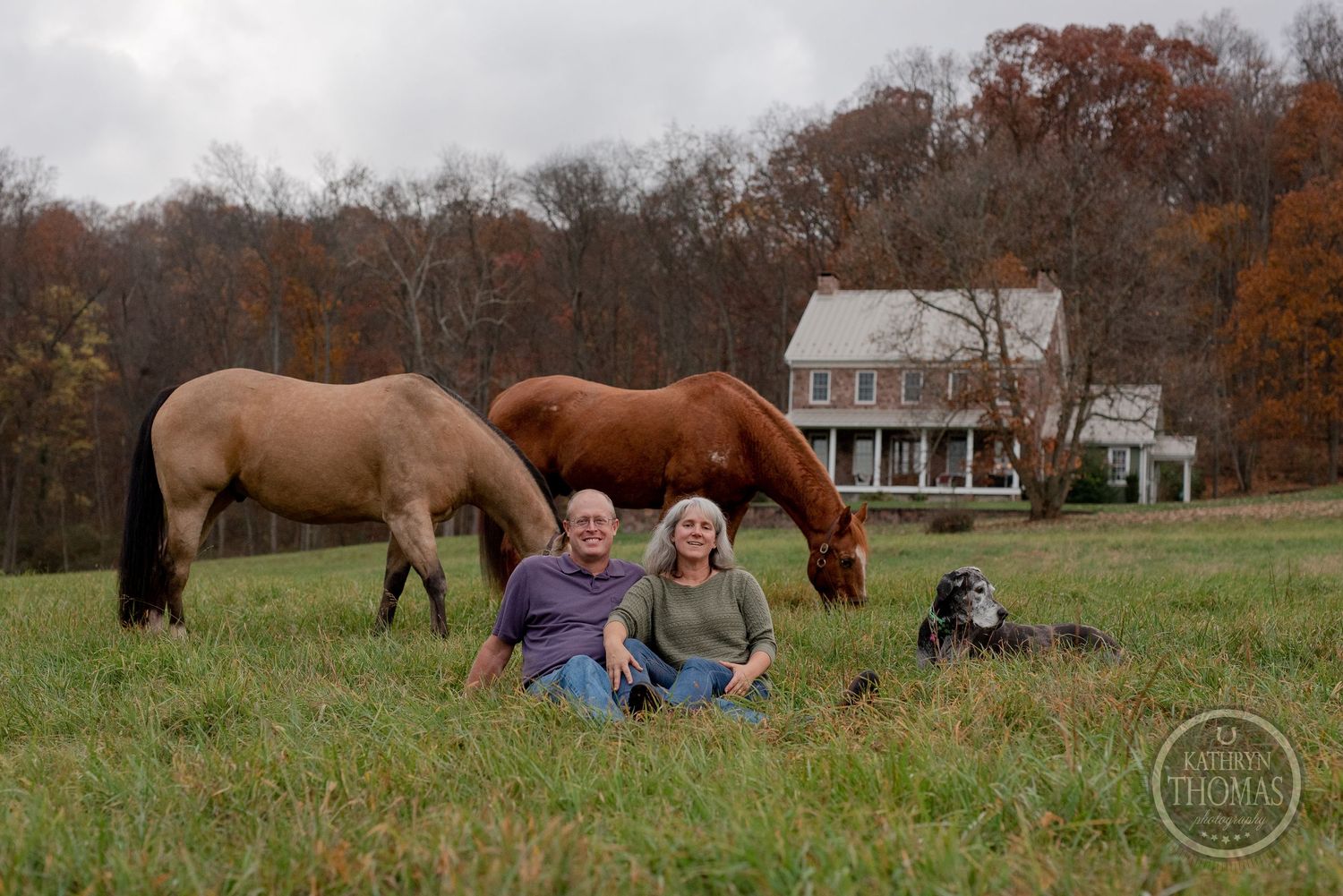 Two horses and a black dog accompany people sitting in grass near white farmhouse.