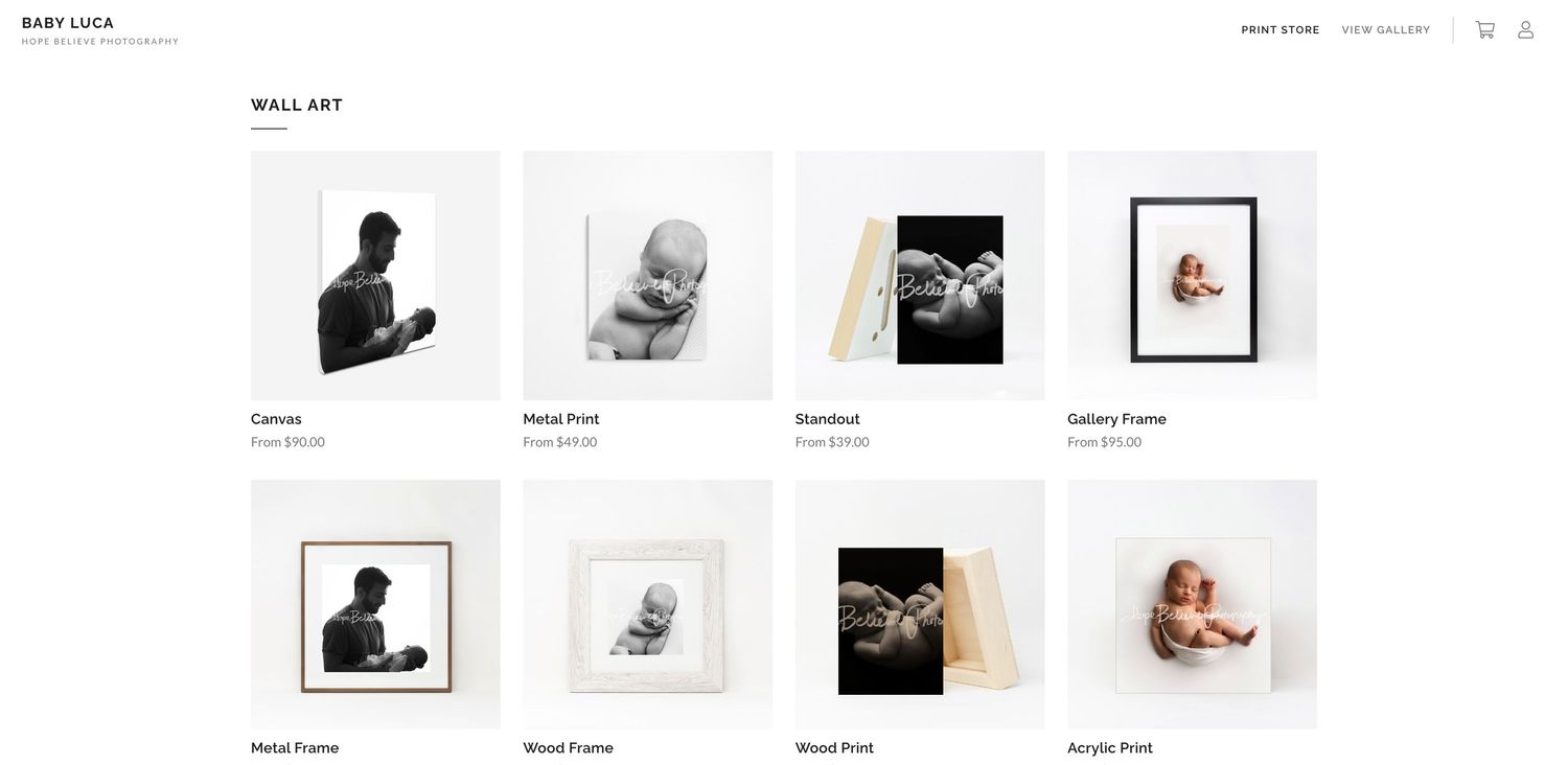 Screenshot of printshop with customized options of prints.