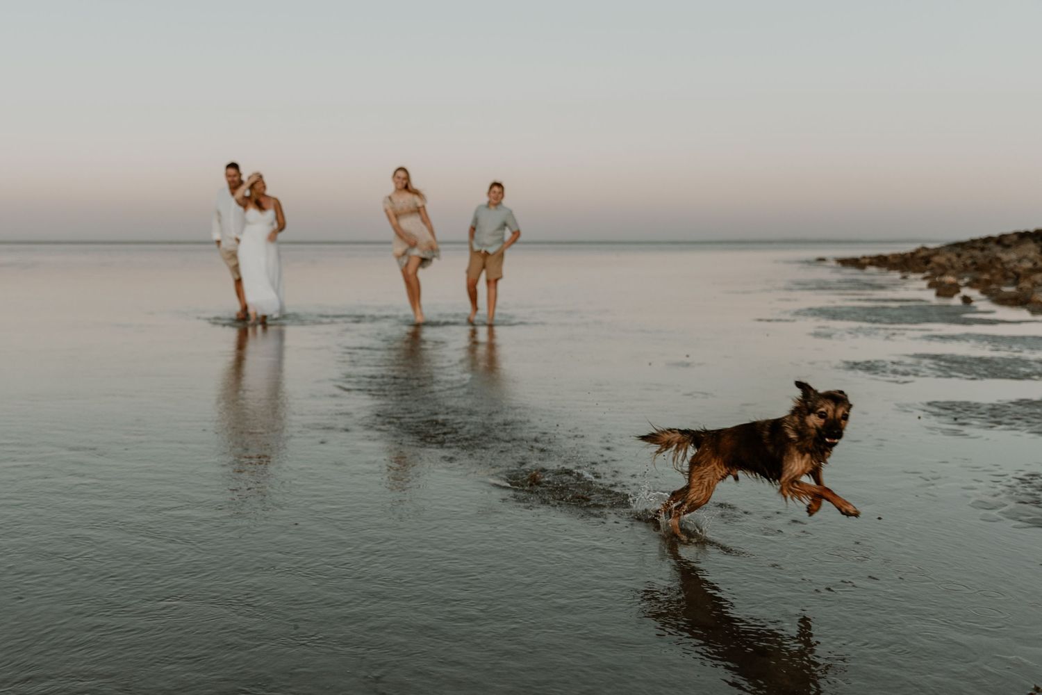 A dog runs playfully through shallow water at the beach during sunset while people enjoy the tranquil shoreline in Karratha.