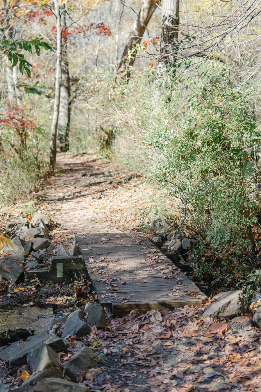Rustic wooden footbridge crossing a rocky stream on a leaf-covered autumn hiking trail.