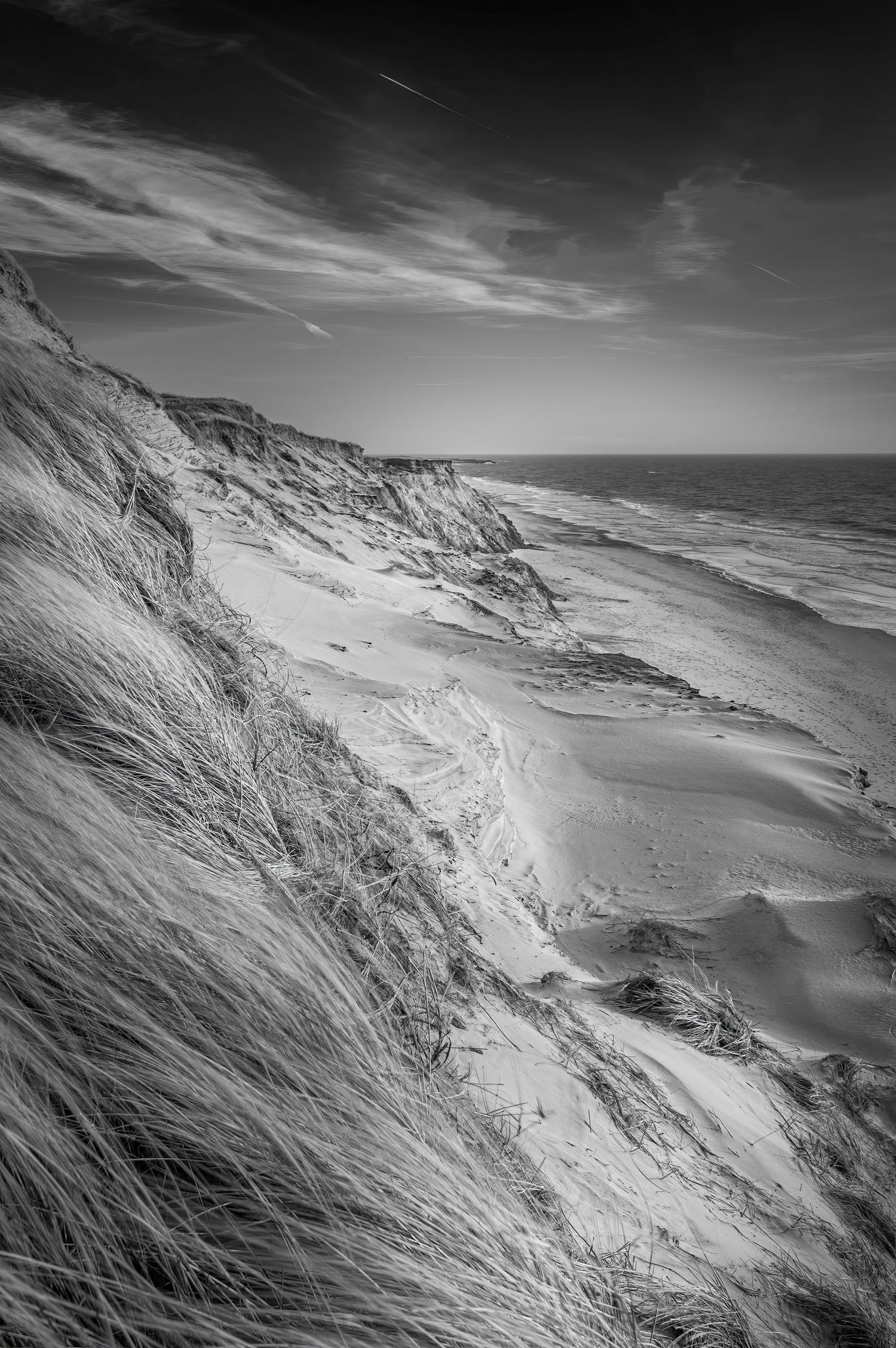 Sand dunes West coast Denmark