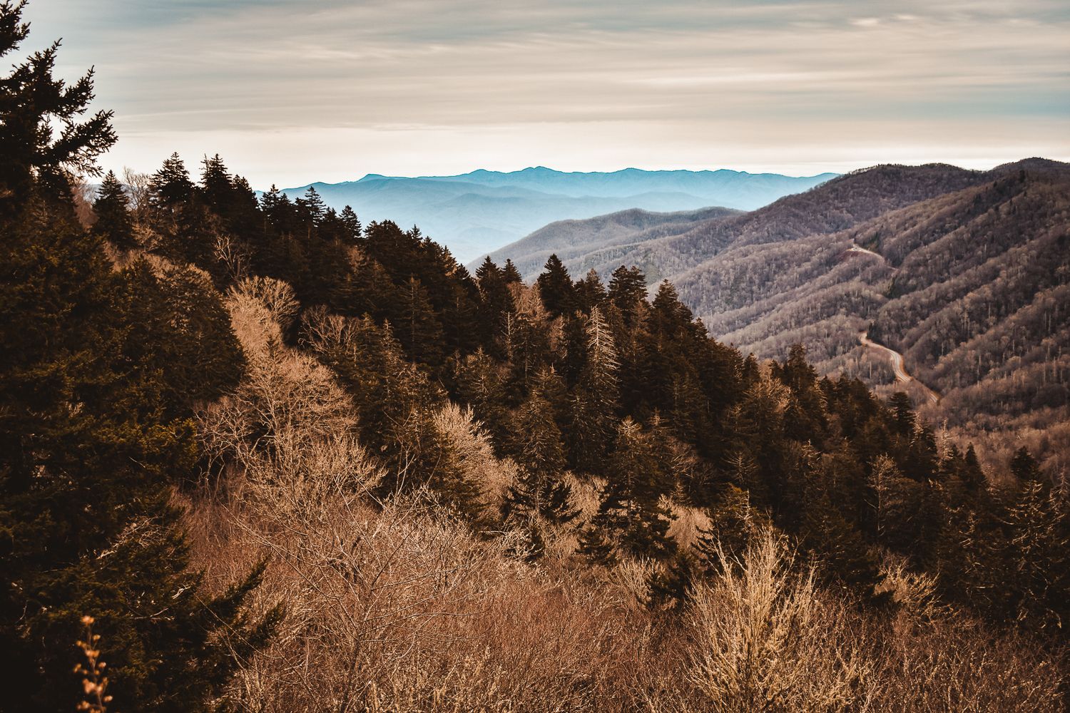 Misty mountain landscape with evergreen forest and distant blue ridges.