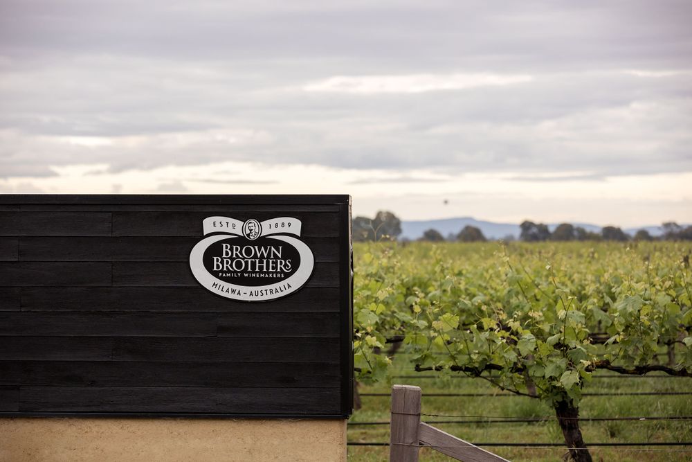 The Brown Brothers winery sign with vines in the background captured by Jason from Jason Robins Photography