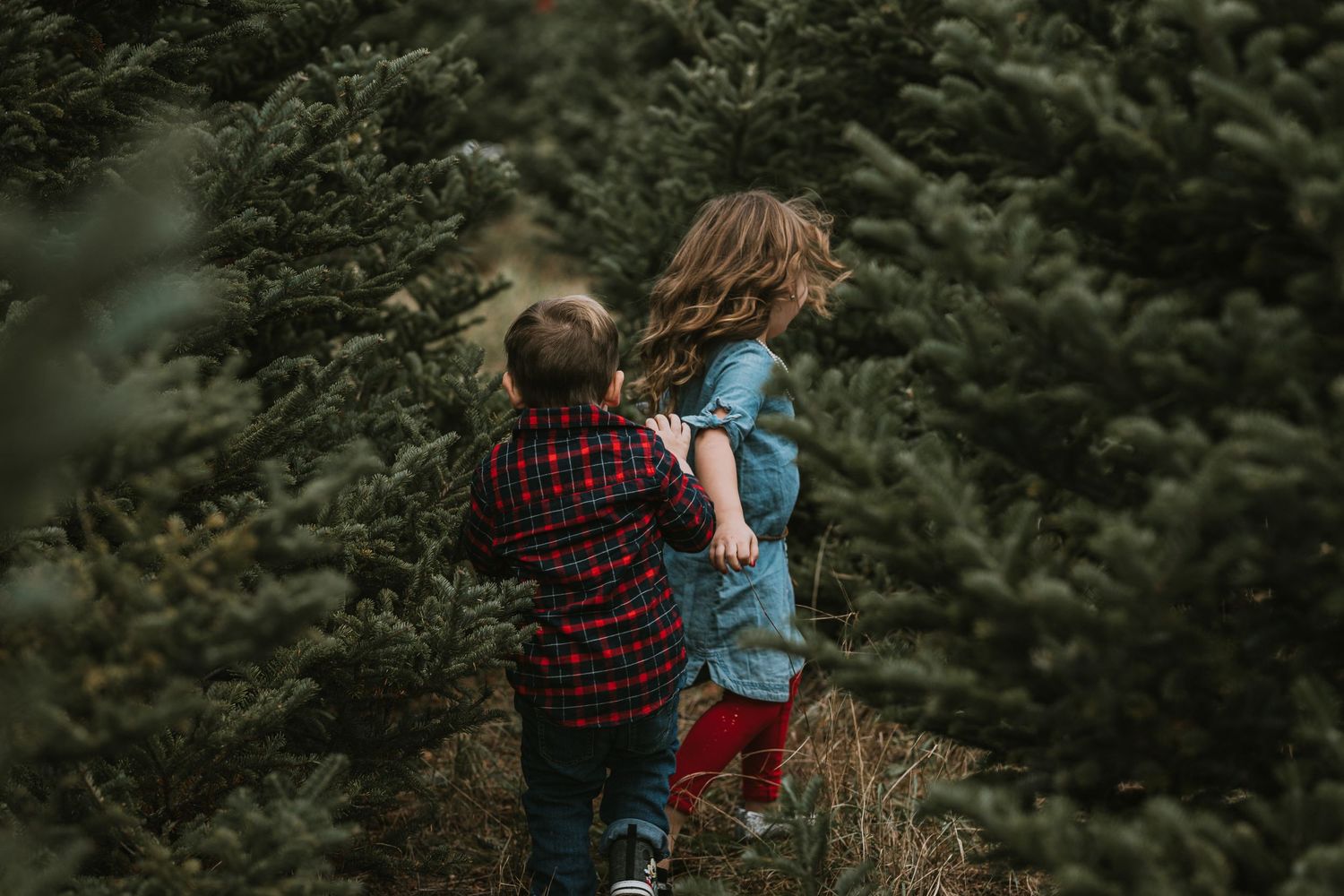 Mount Pleasant Michigan Family Photographer