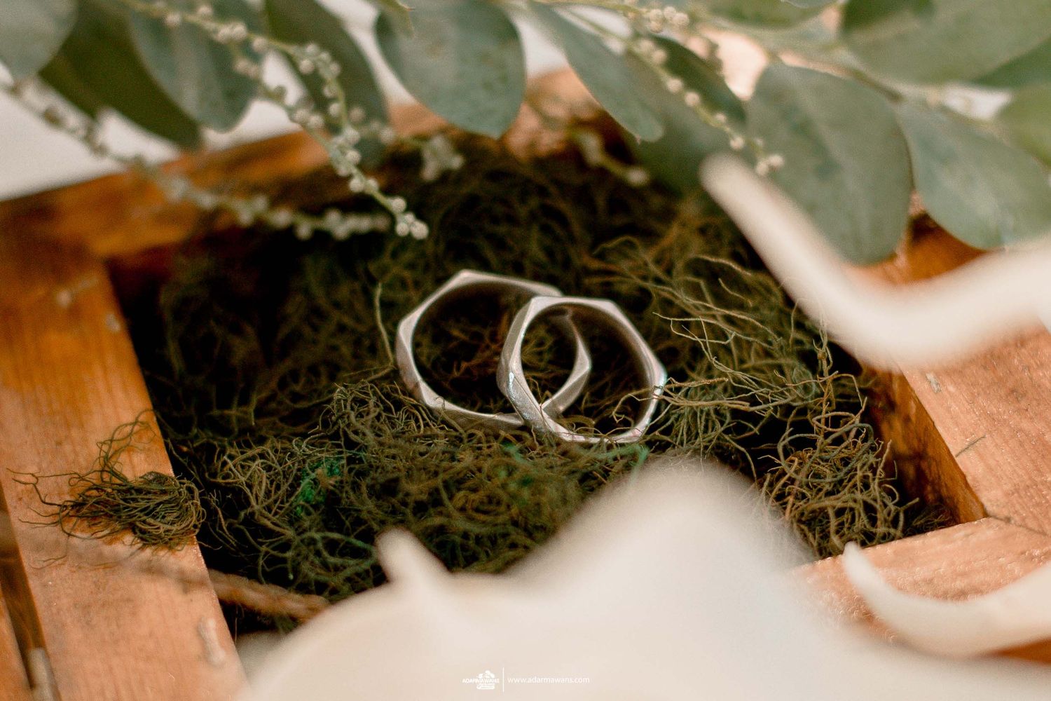 Two silver wedding rings displayed on green moss in a wooden box.