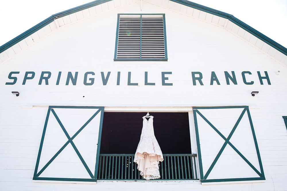 Springville Central Valley california barn wedding dress