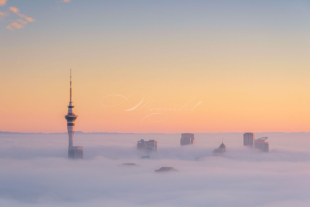 Sunrise Fog