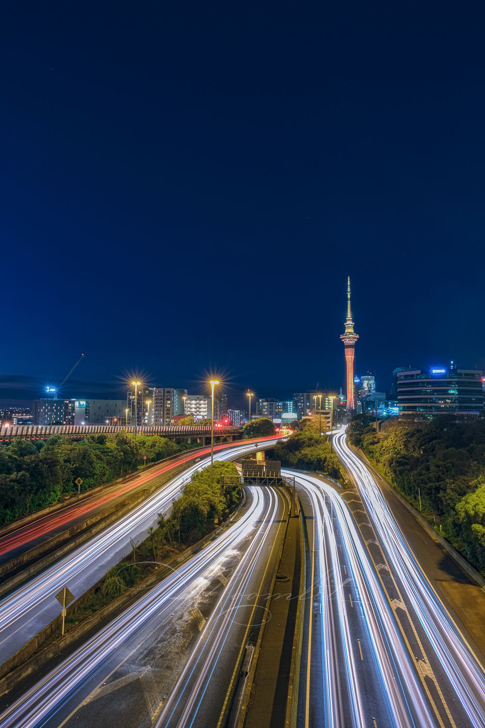 Auckland Light Trails