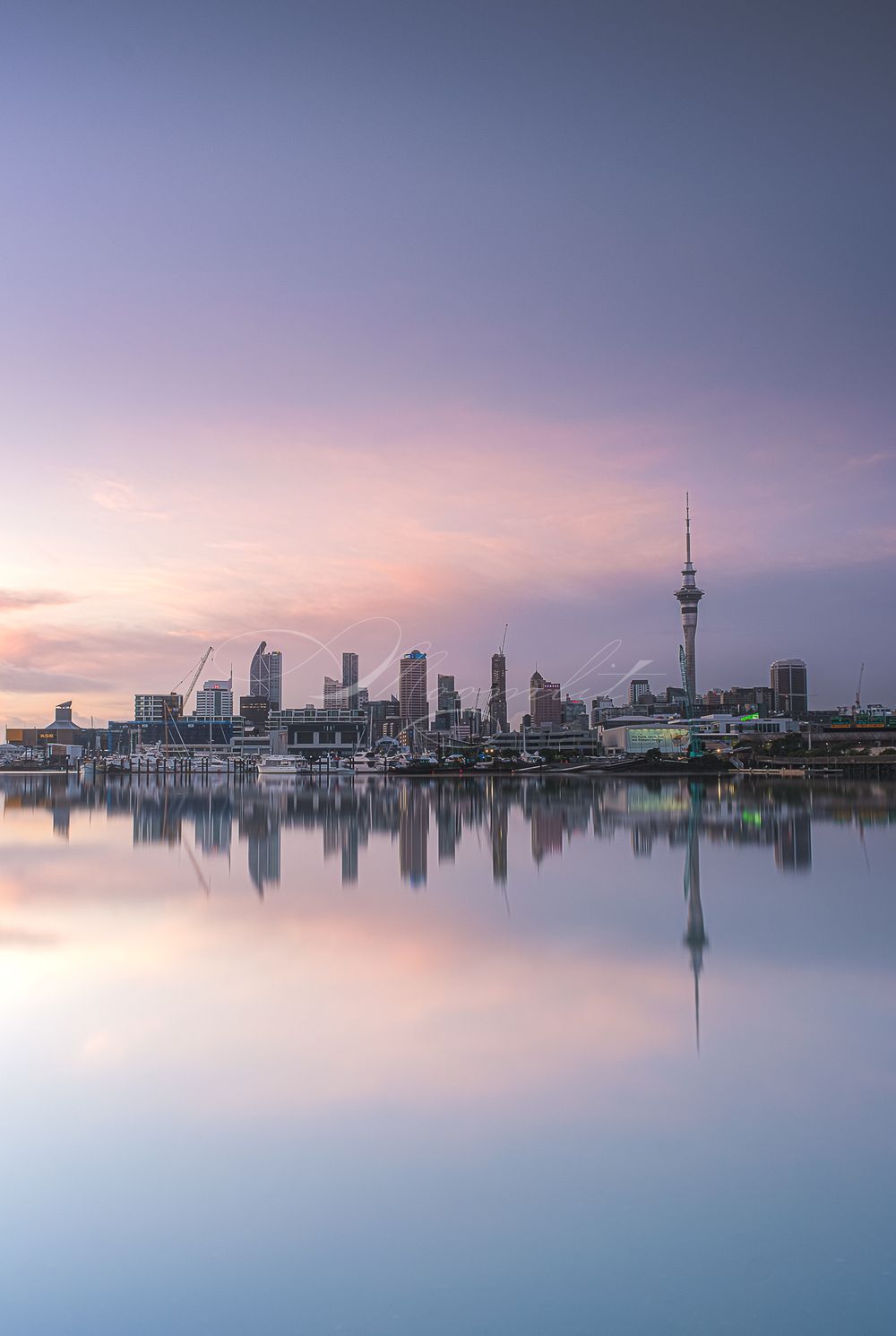 Auckland Reflection