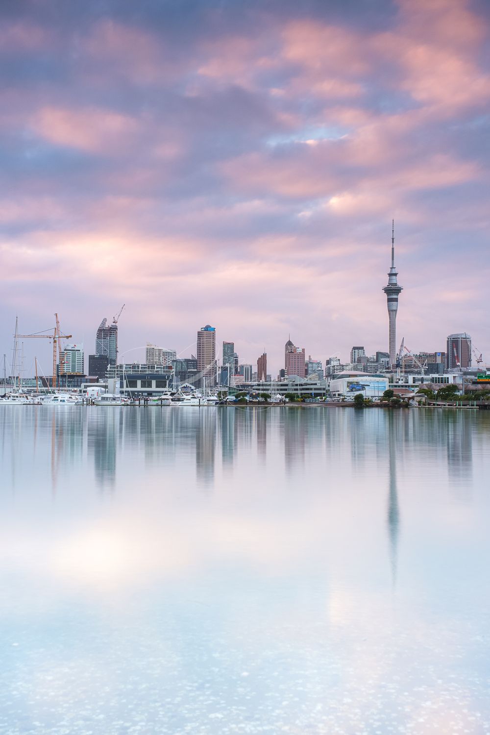 Auckland Reflection