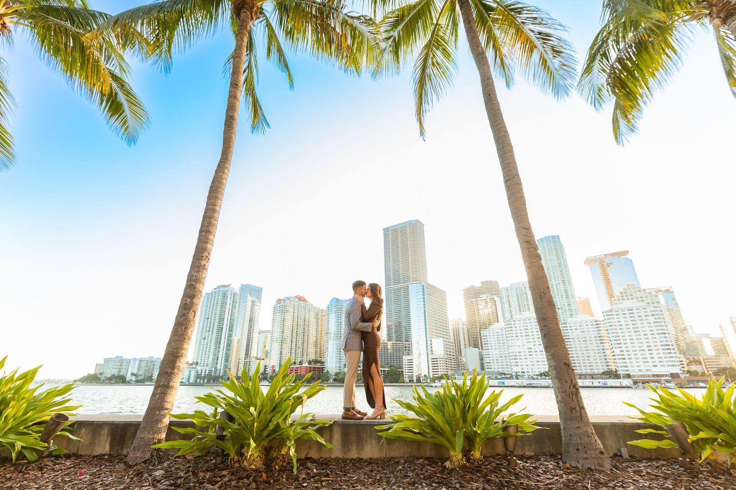 Tropical palm trees and plants line an urban waterfront with high-rise buildings in the distance.