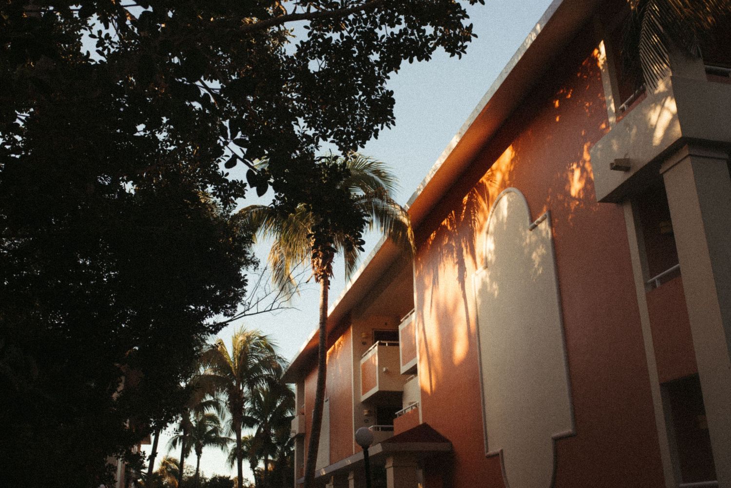 Sunlight casts shadows on a pink building through palm trees at sunset.