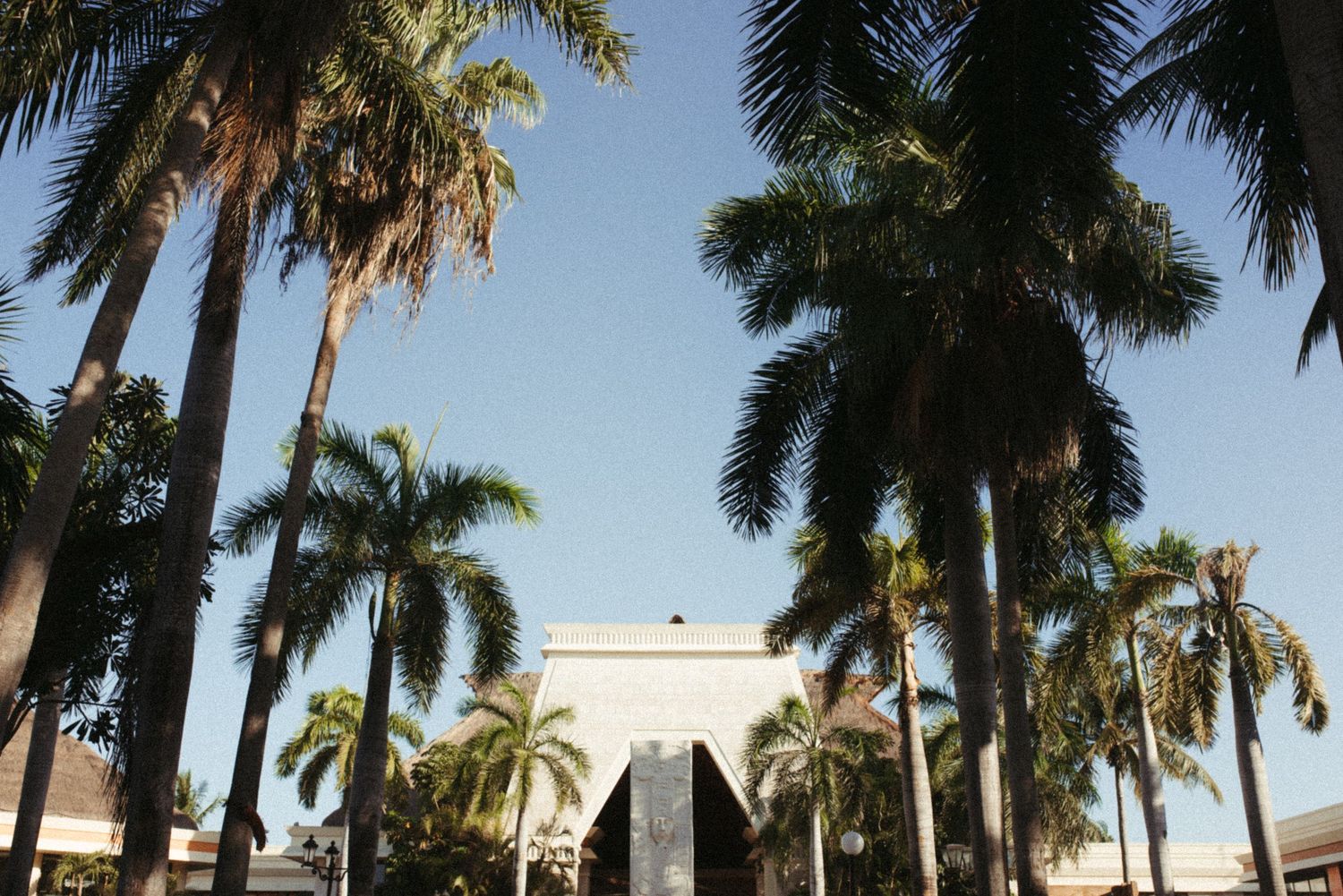Tall palm trees line the entrance of a white tropical resort building against a blue sky.