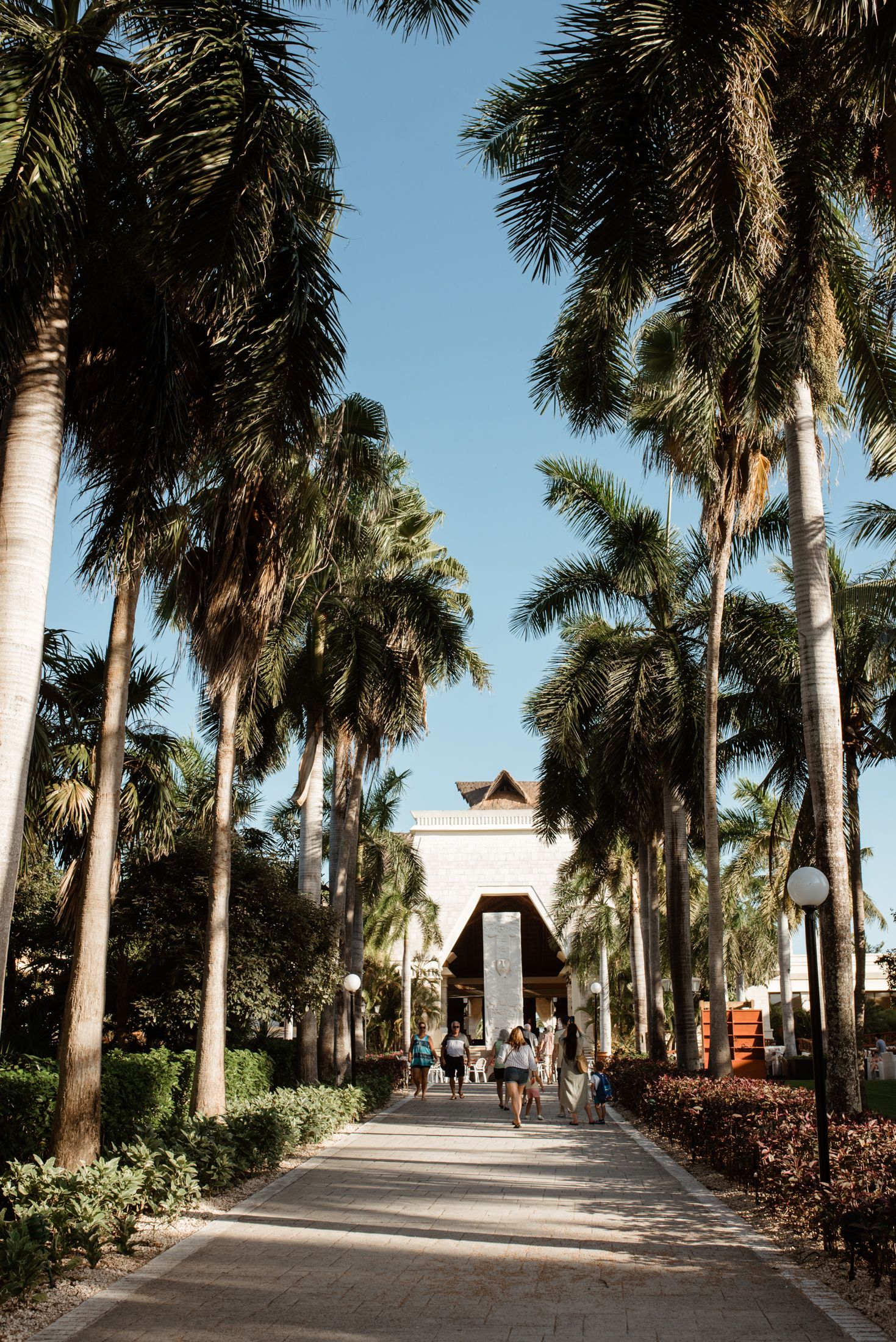 Palm tree-lined walkway leading to a resort entrance with people walking in the distance.