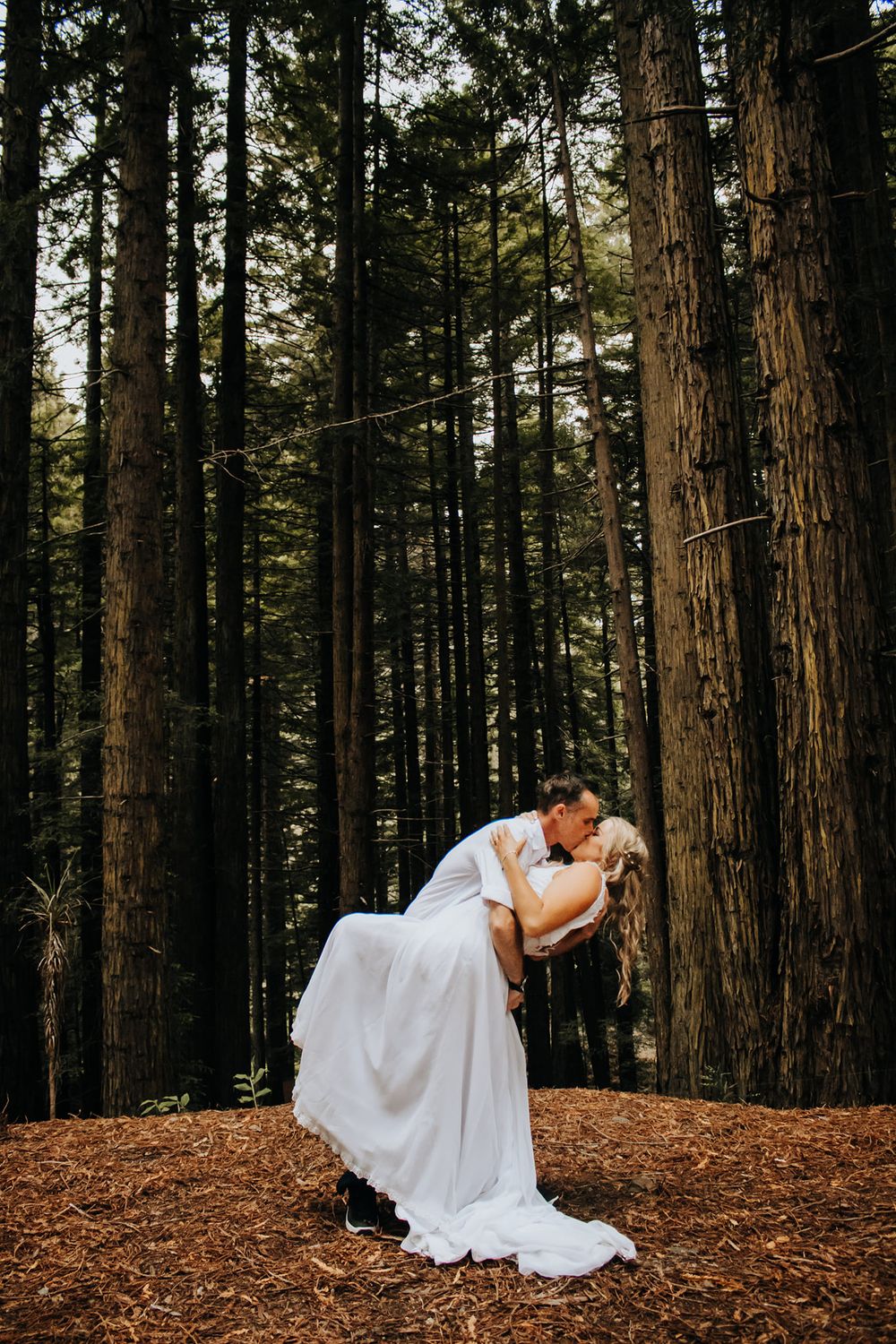 Bride and groom share a romantic dip kiss surrounded by tall redwood trees in a forest.