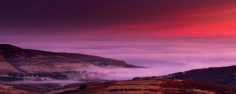 Misty Mearns