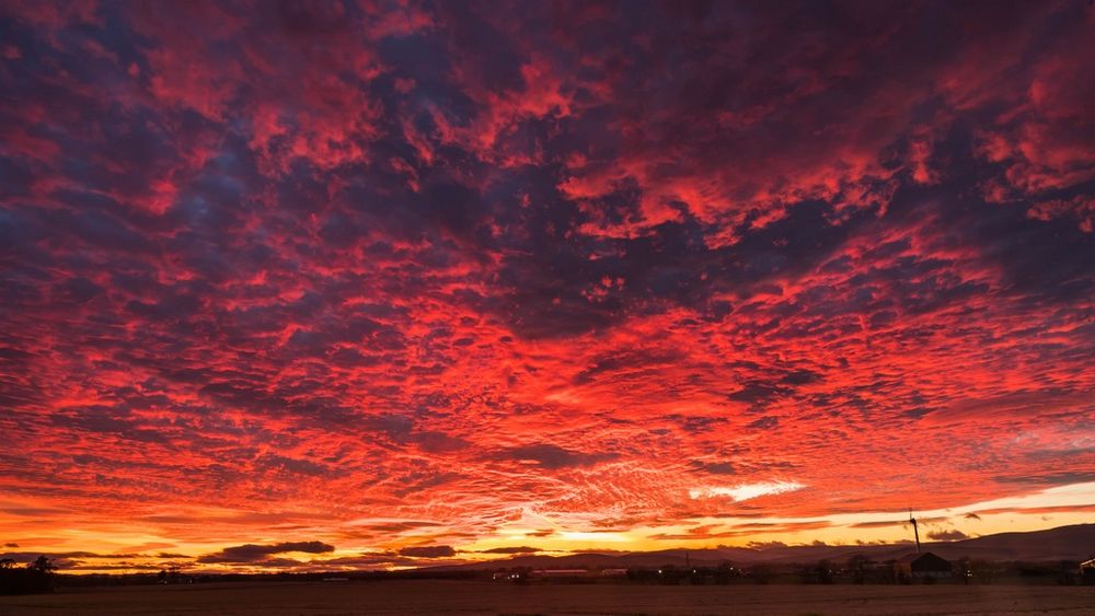Steelstrath Sunset