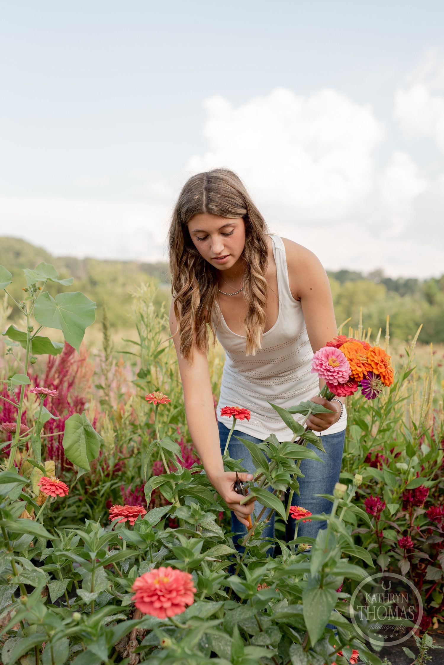 A person harvests colorful flowers in a garden on a bright summer day.