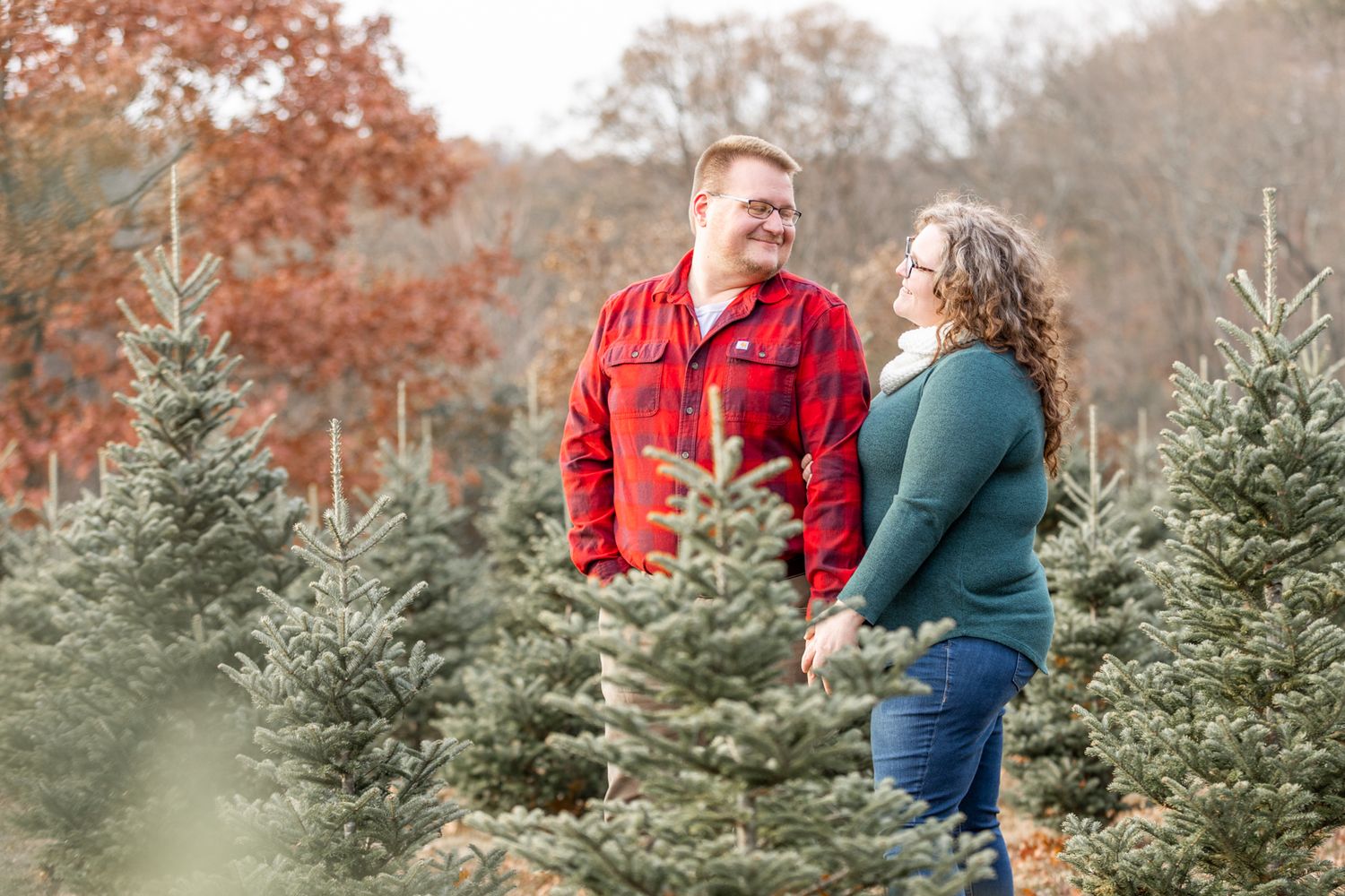 baldauf christmas tree farm