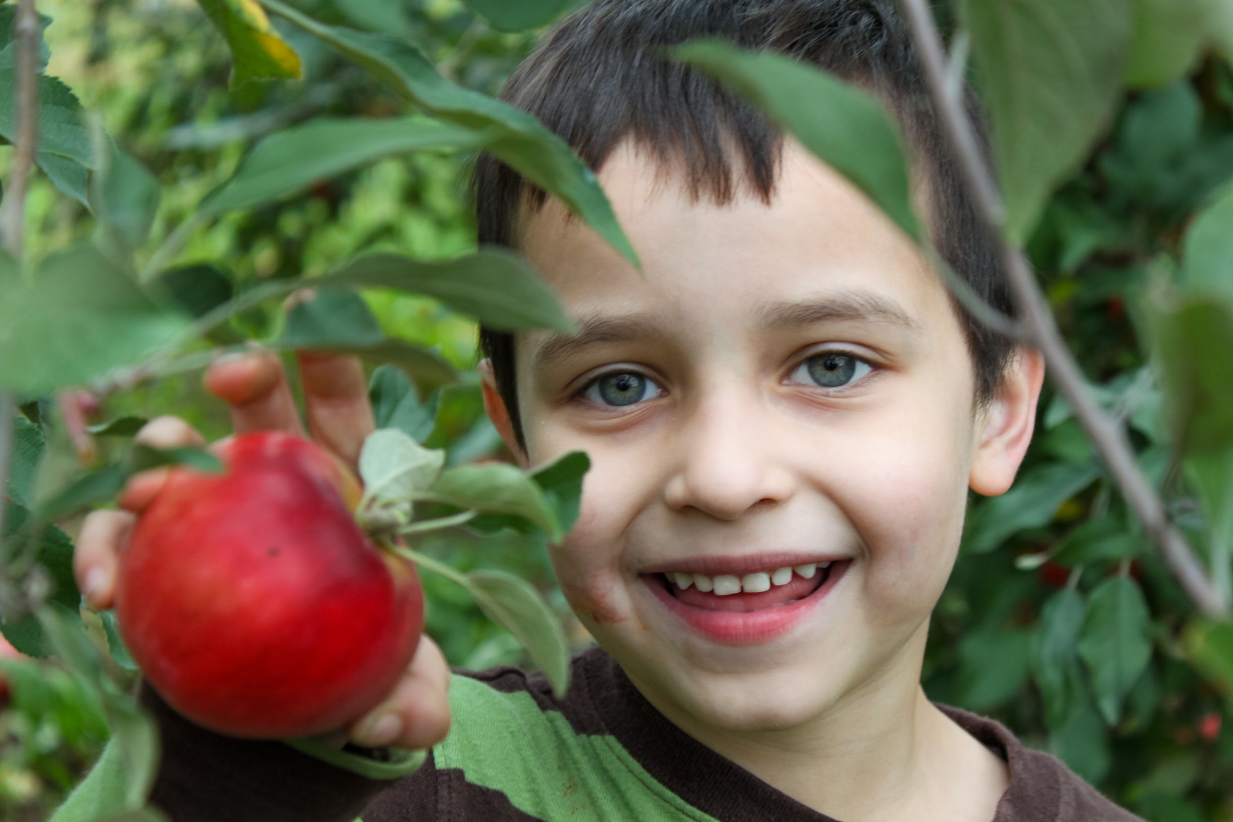 Family Photographer, Family Photos, Family Photography, Children Photos, children Photography, Children Photographer
