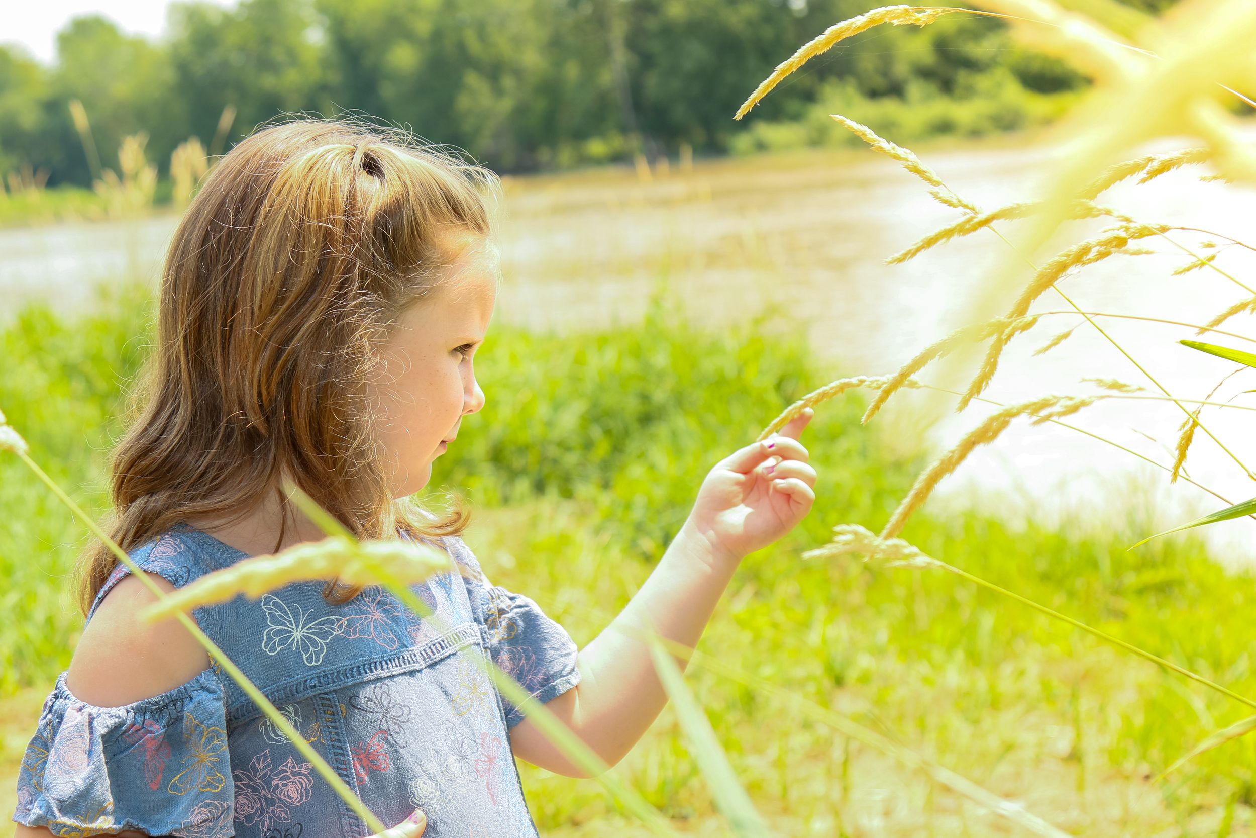 Family Photographer, Family Photos, Family Photography, Children Photos, children Photography, Children Photographer
