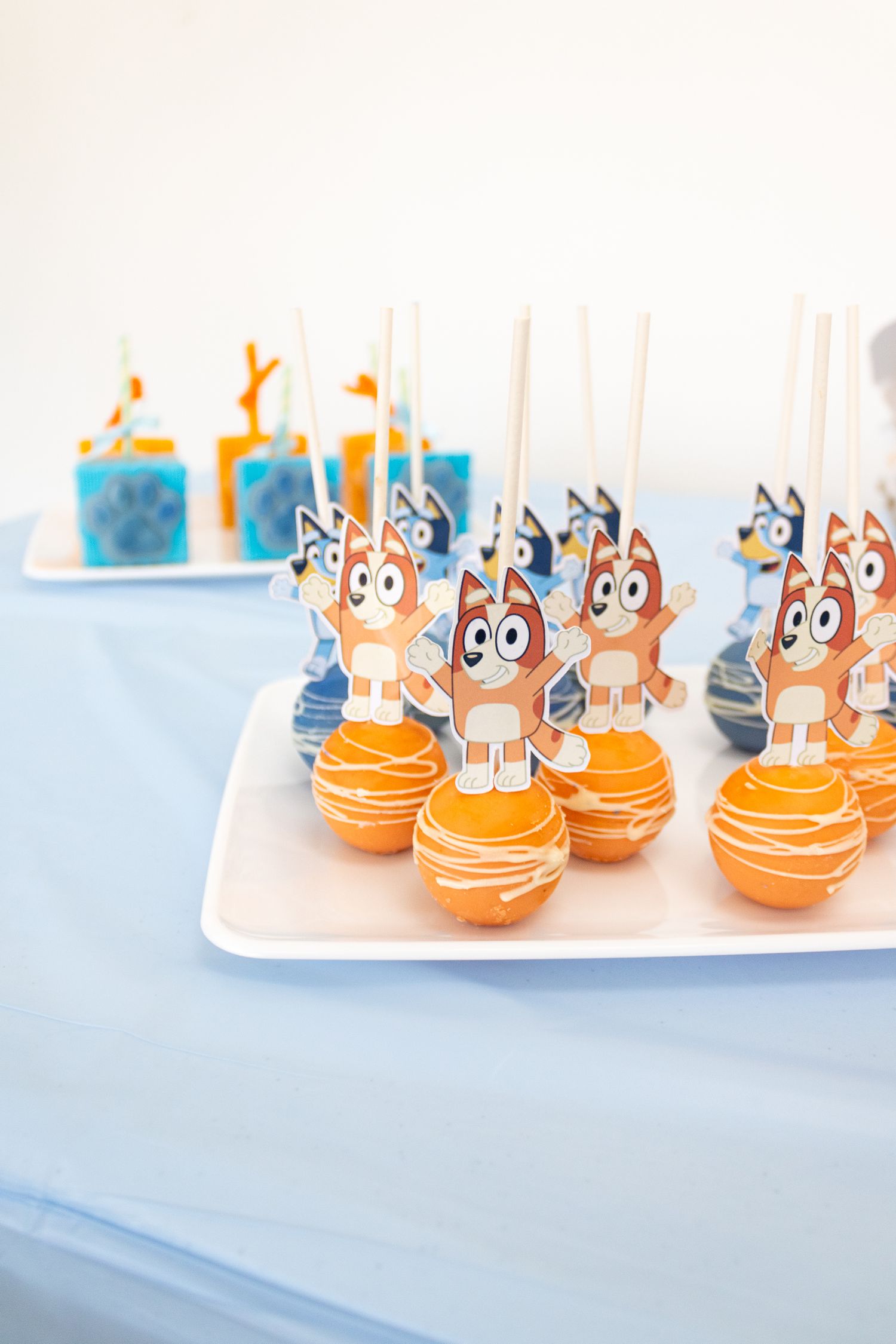 Bluey Birthday