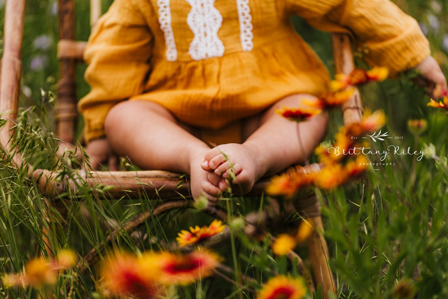 Close up of child in yellow dress sitting among orange wildflowers.