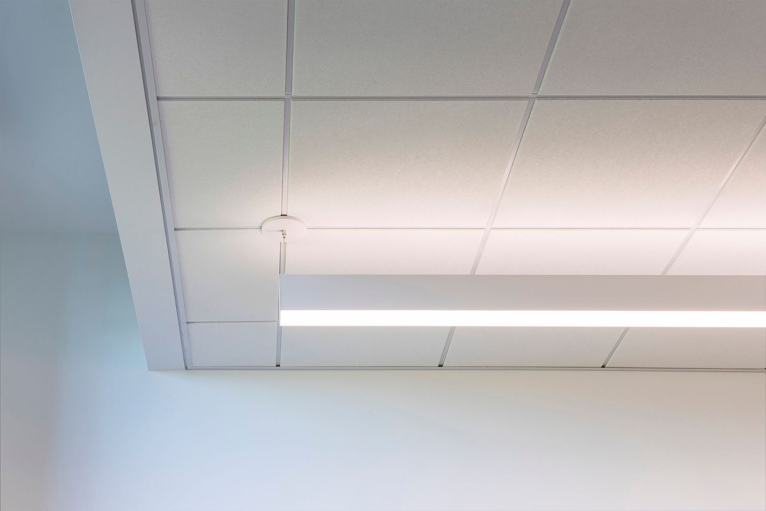 Chicago Elementary School Architectural Photography