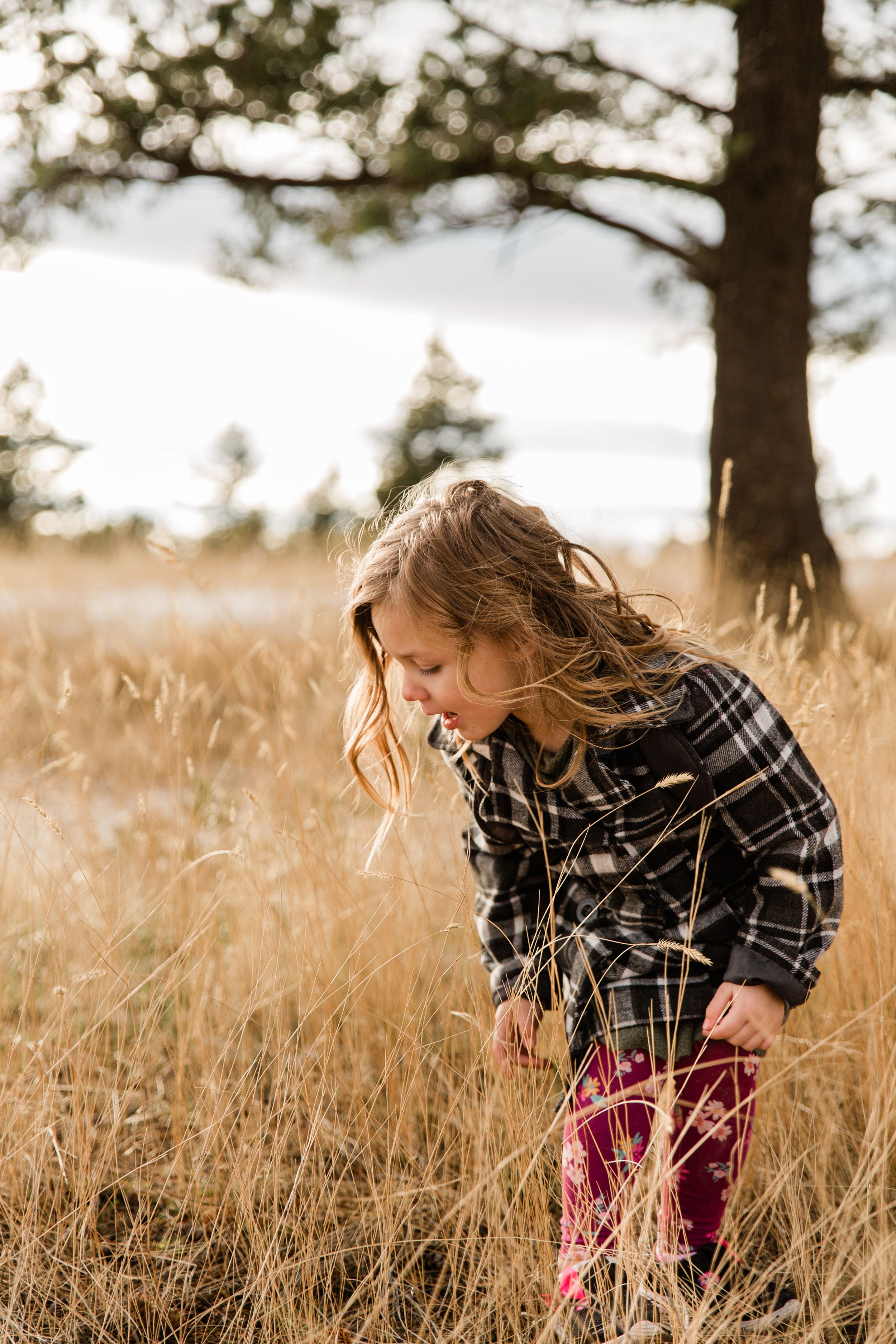 Kalispell Photographer Kalispell Photography
