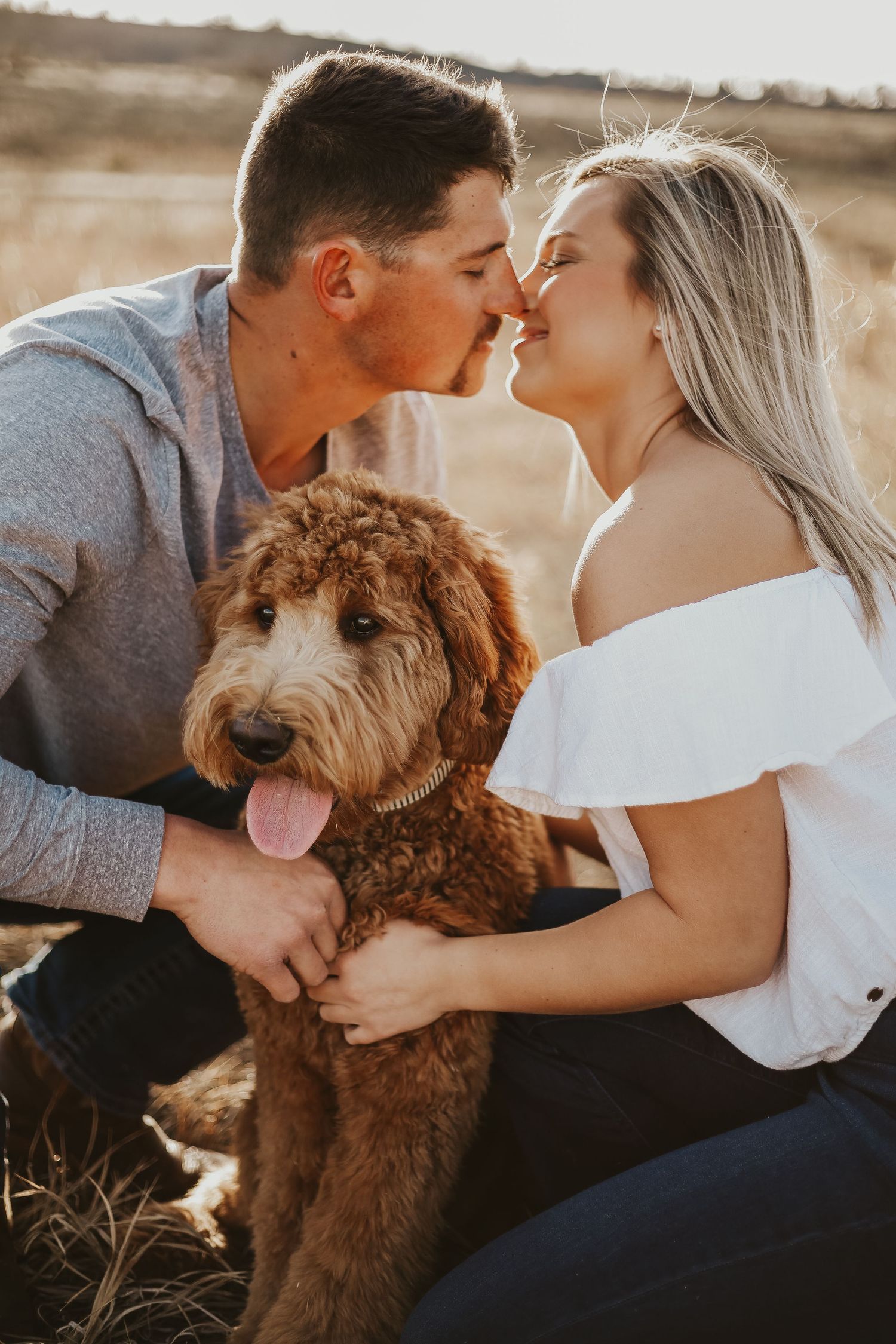 Dog photographer in Northern Colorado.