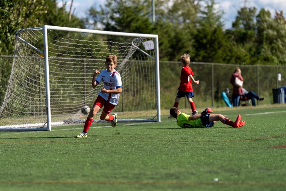 Soccer players compete near a goal on a sunny grass field during a match.