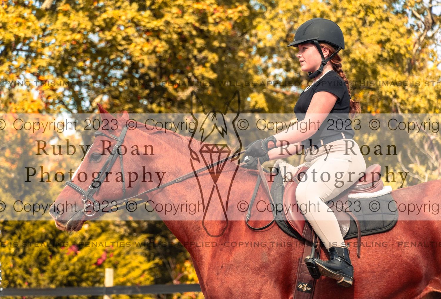 Girl in black shirt riding red horse