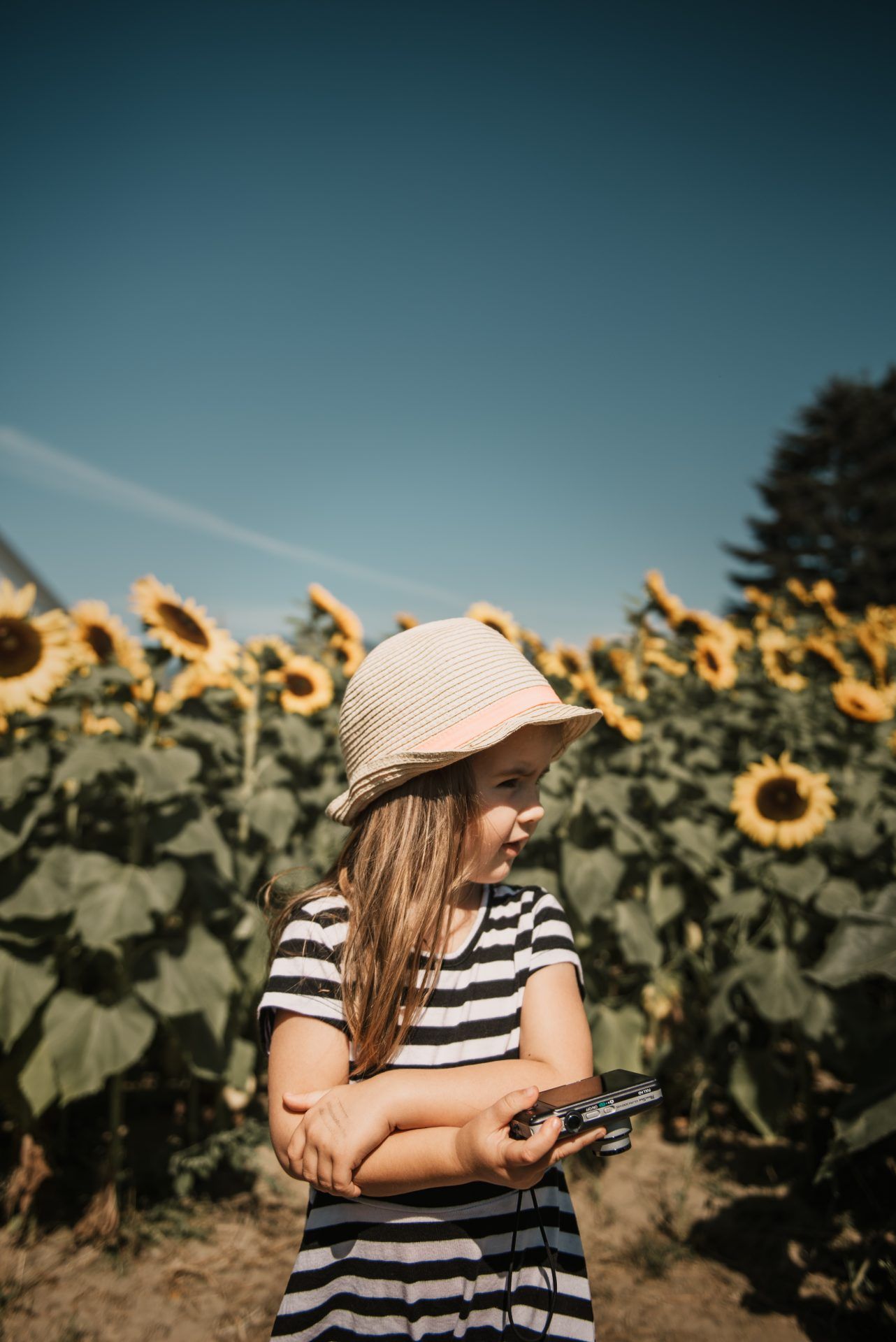 Striped dress and pink hat in a blooming sunflower field under blue sky.