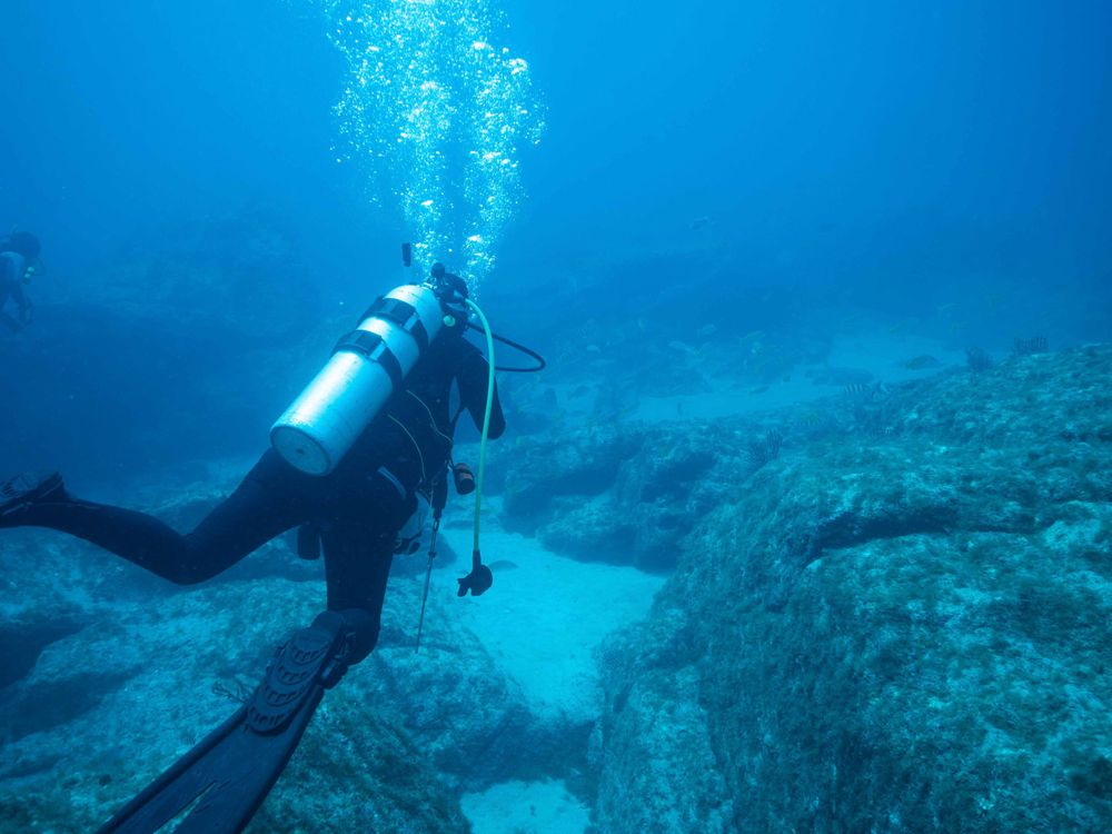 Scuba Diver Photo in Sea of Cortez