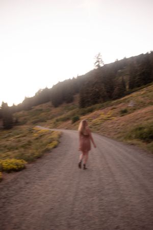 A blurred figure walking along a mountain trail surrounded by wildflowers.