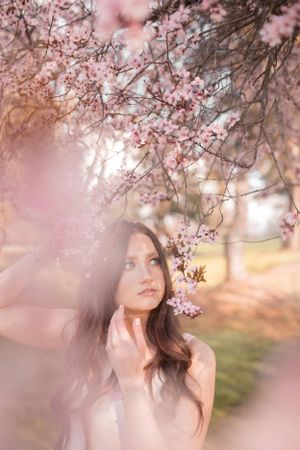Dreamy spring portrait framed by delicate pink cherry blossoms in soft focus.