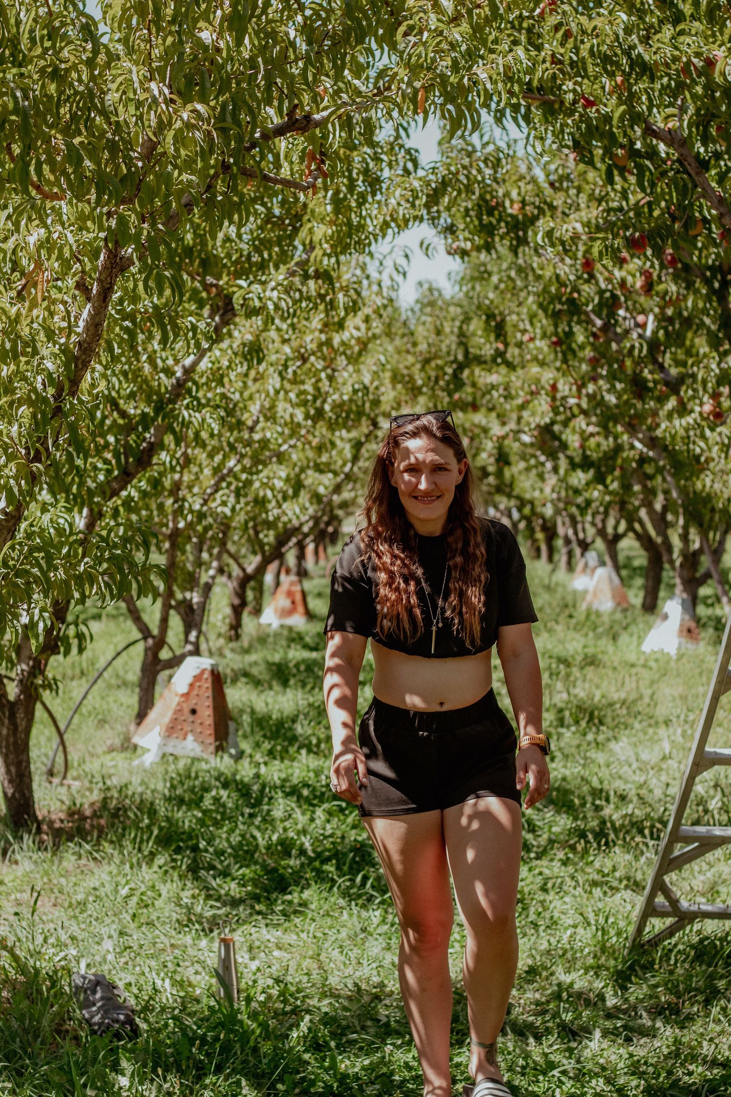 Person walking through a sunlit orchard wearing casual summer clothing.